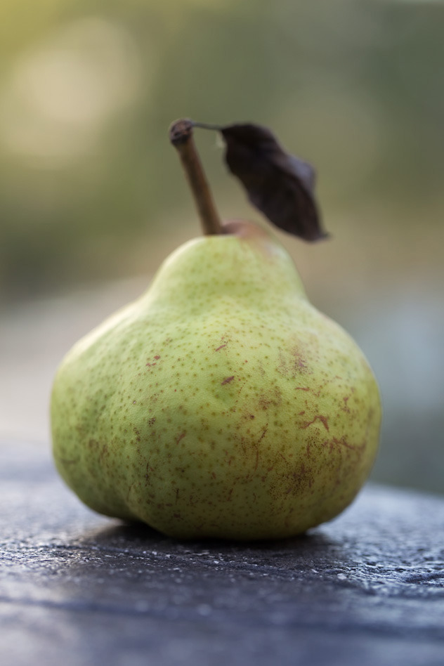 pretty pear.jpg